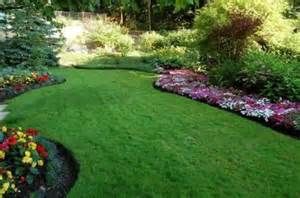 Residential Lawn