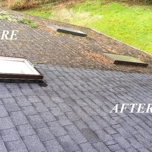Roof Cleaning 
(Soft Wash Method)
