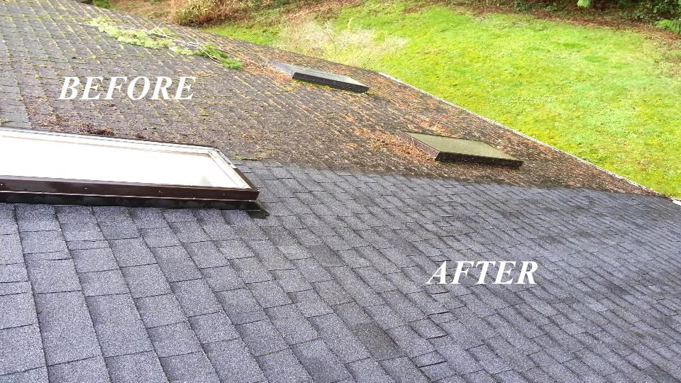 Roof Cleaning 
(Soft Wash Method)