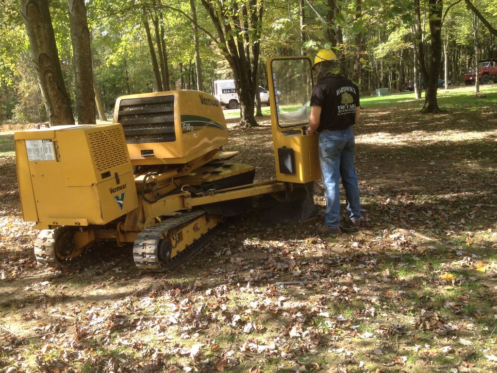 Grinding out stumps