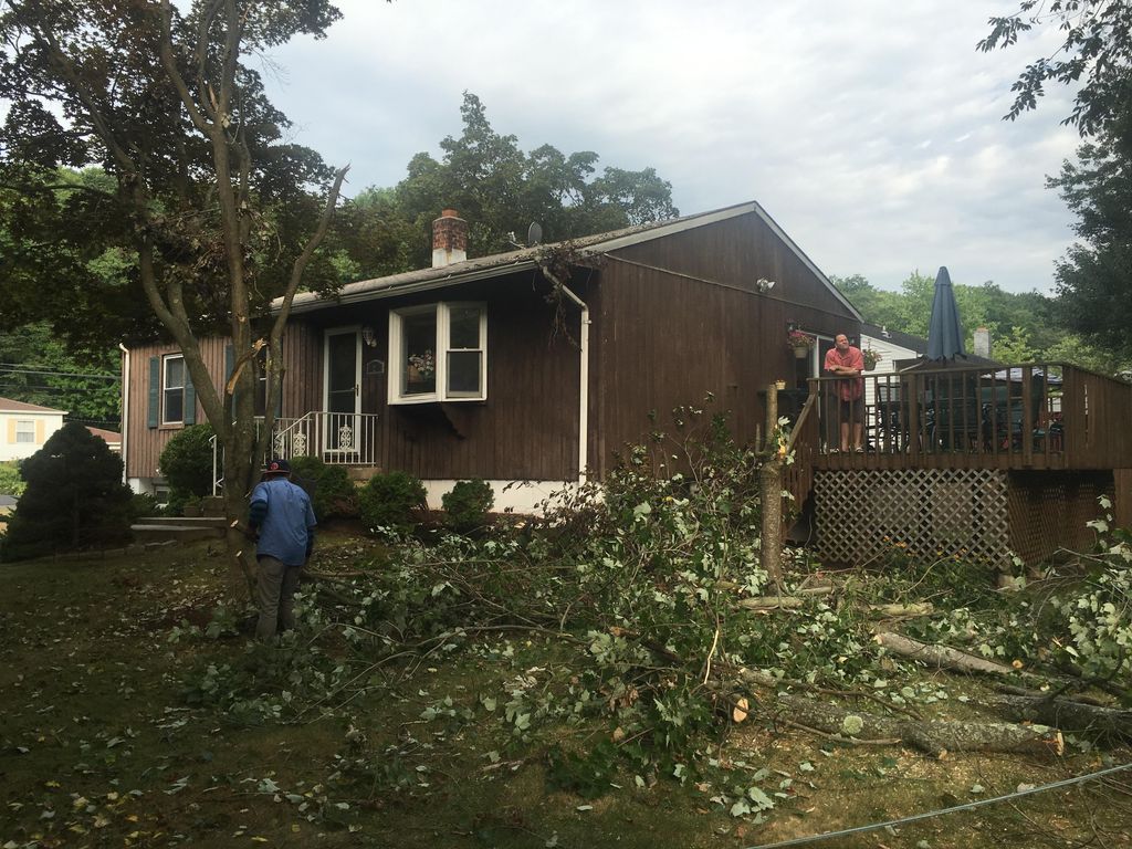 #2 This was a emergency tree removal job.