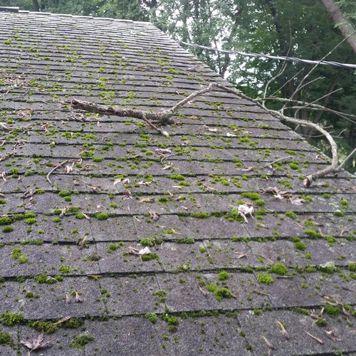 Roof before cleaning