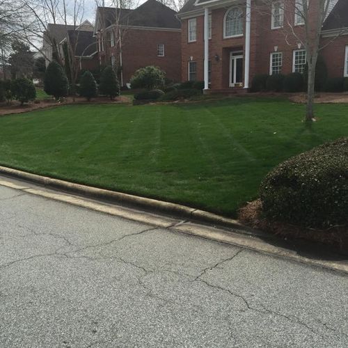 Full Service Lawn Maintenance with Weed and Feed P