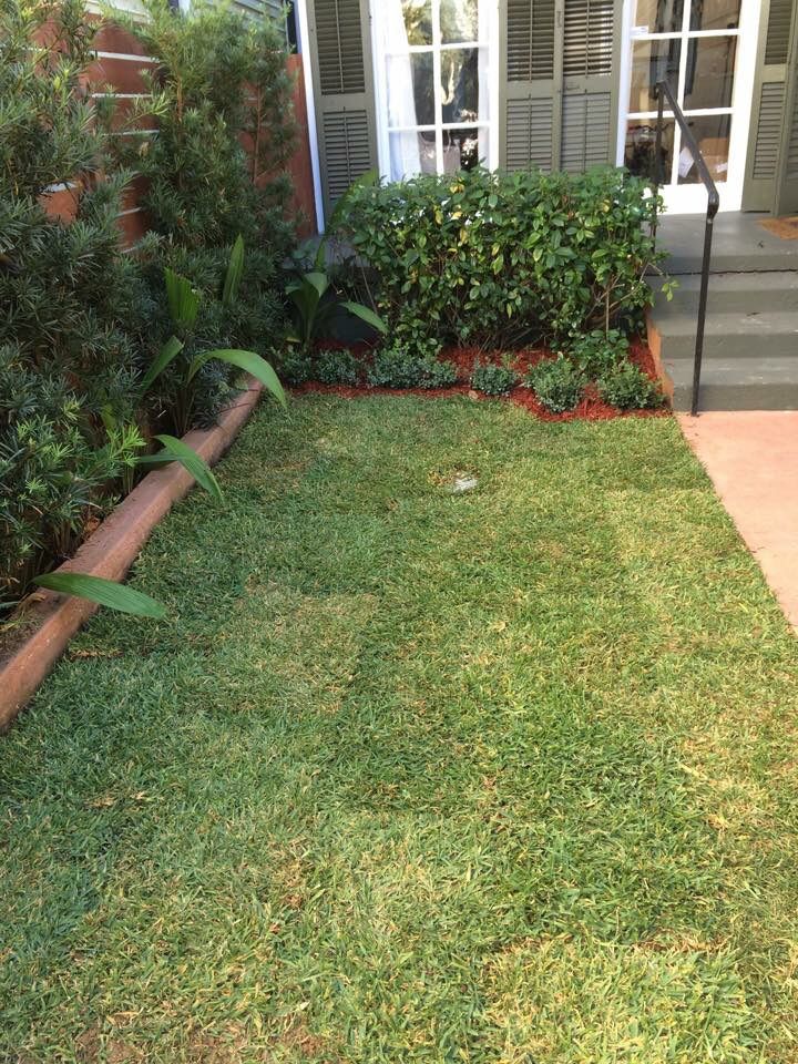 new sod and mulch installation