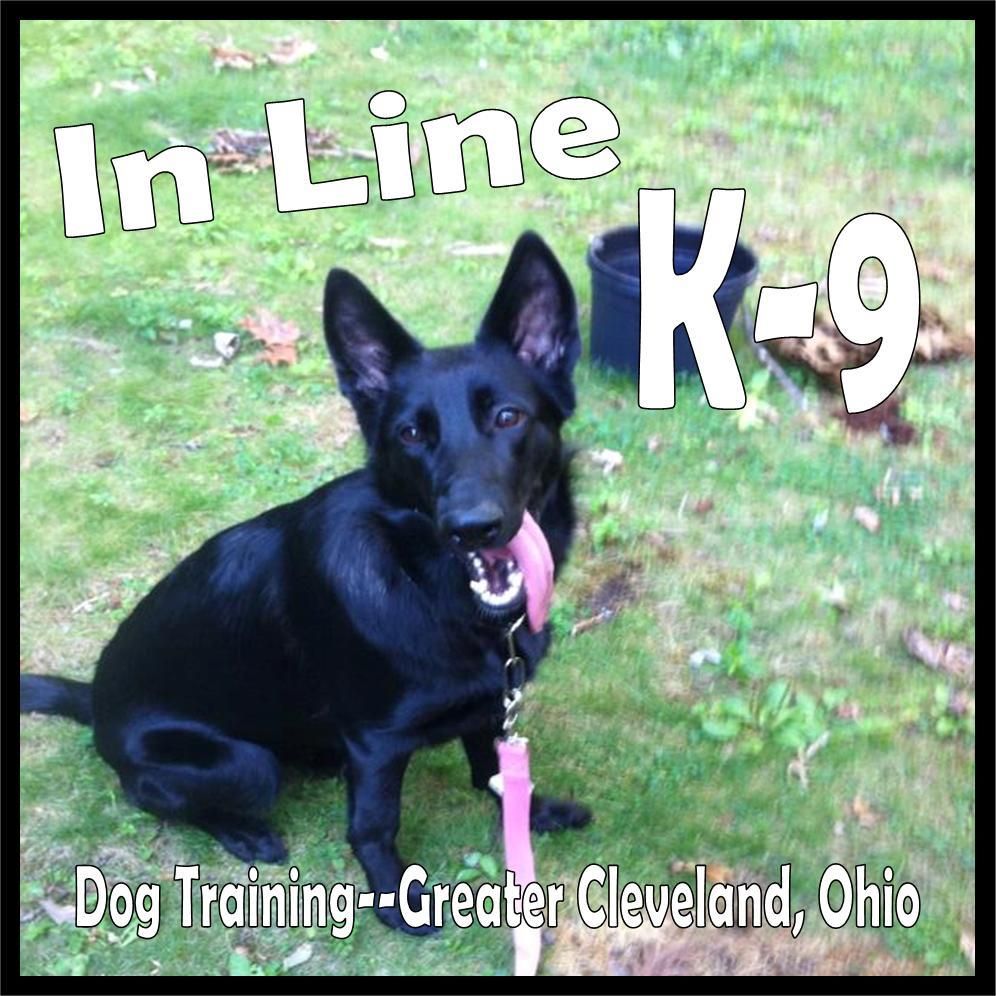 In Line K-9 Dog Training