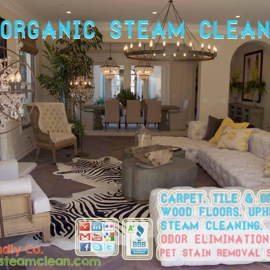 Organic Steam Clean