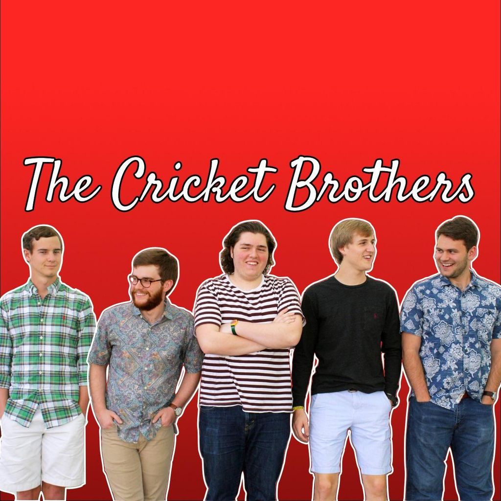 The Cricket Brothers Band