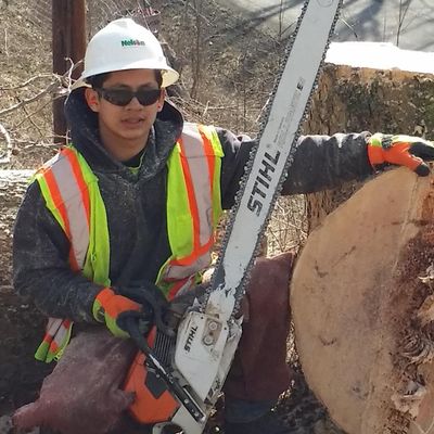 Avatar for Asap Tree Services