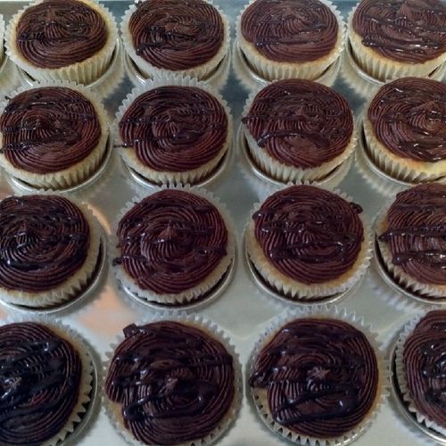 Chocolate frosted vanilla cupcakes drizzled with g