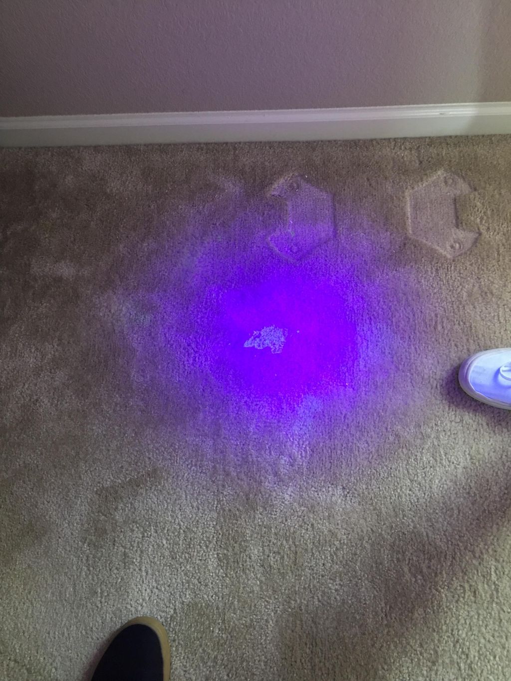 Pet stain detection!