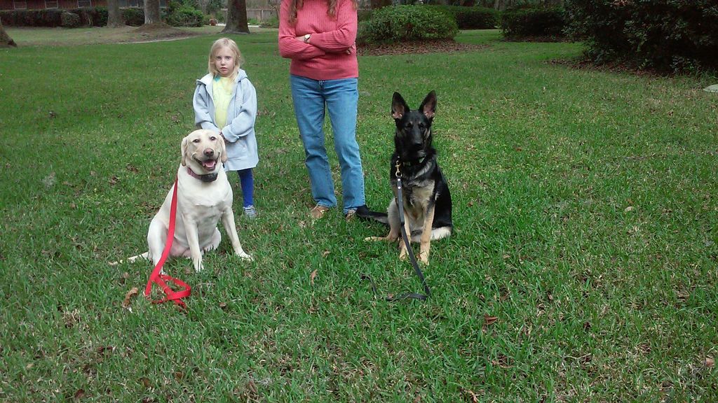 Max and Bella getting ready for the big test
