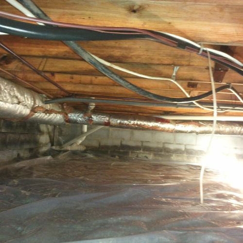 Crawlspace After