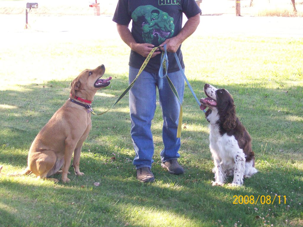 these two learned it is better watch me than chall