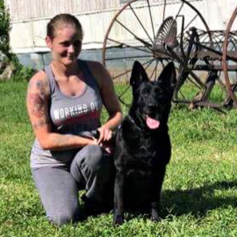 Bluegrass K9 Dog Training