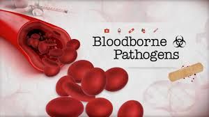Bloodborne Pathogens Course