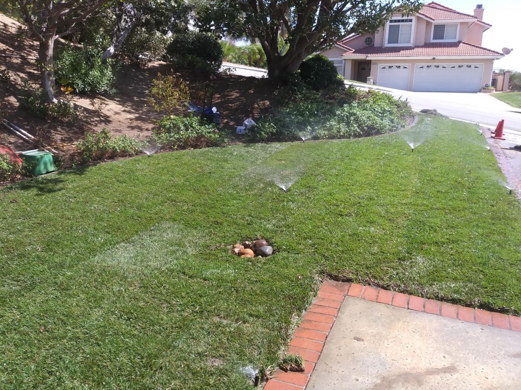 another new lawn by Rocky