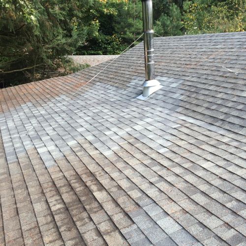 Roof and Chimney repair