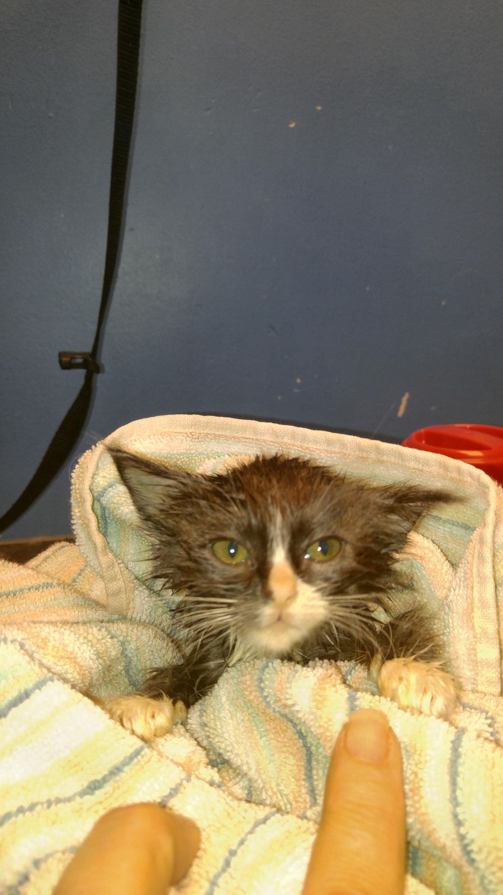 I love his expression!