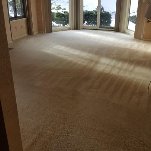 carpet cleaning after moving customers furniture o