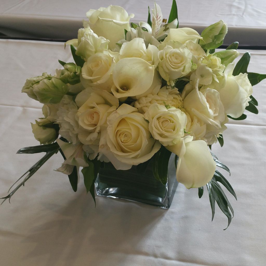 beautiful white and green