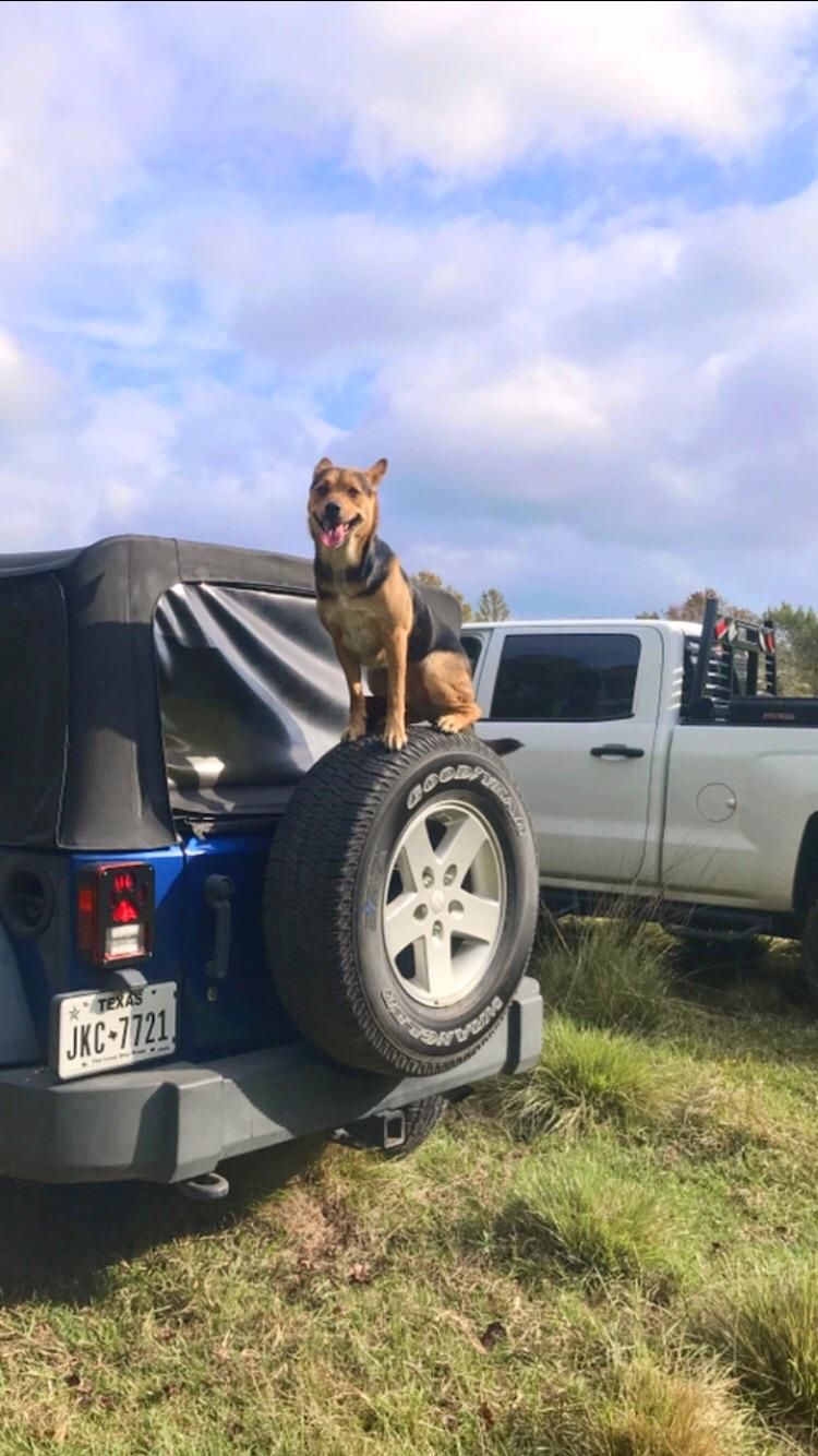 “Place” on the back tire at the ranch. 