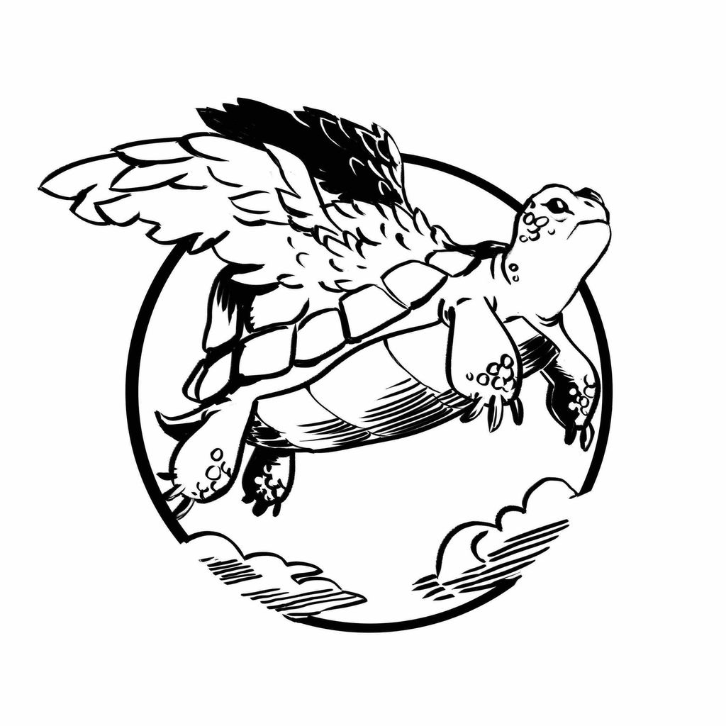 Flying Tortoise Kung Fu