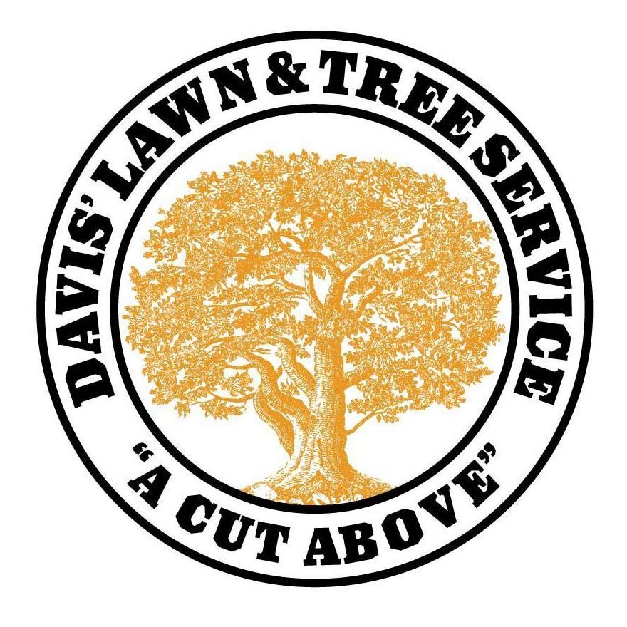 Davis Lawn & Tree Service