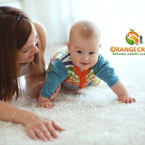 Family Safe Carpet Cleaning