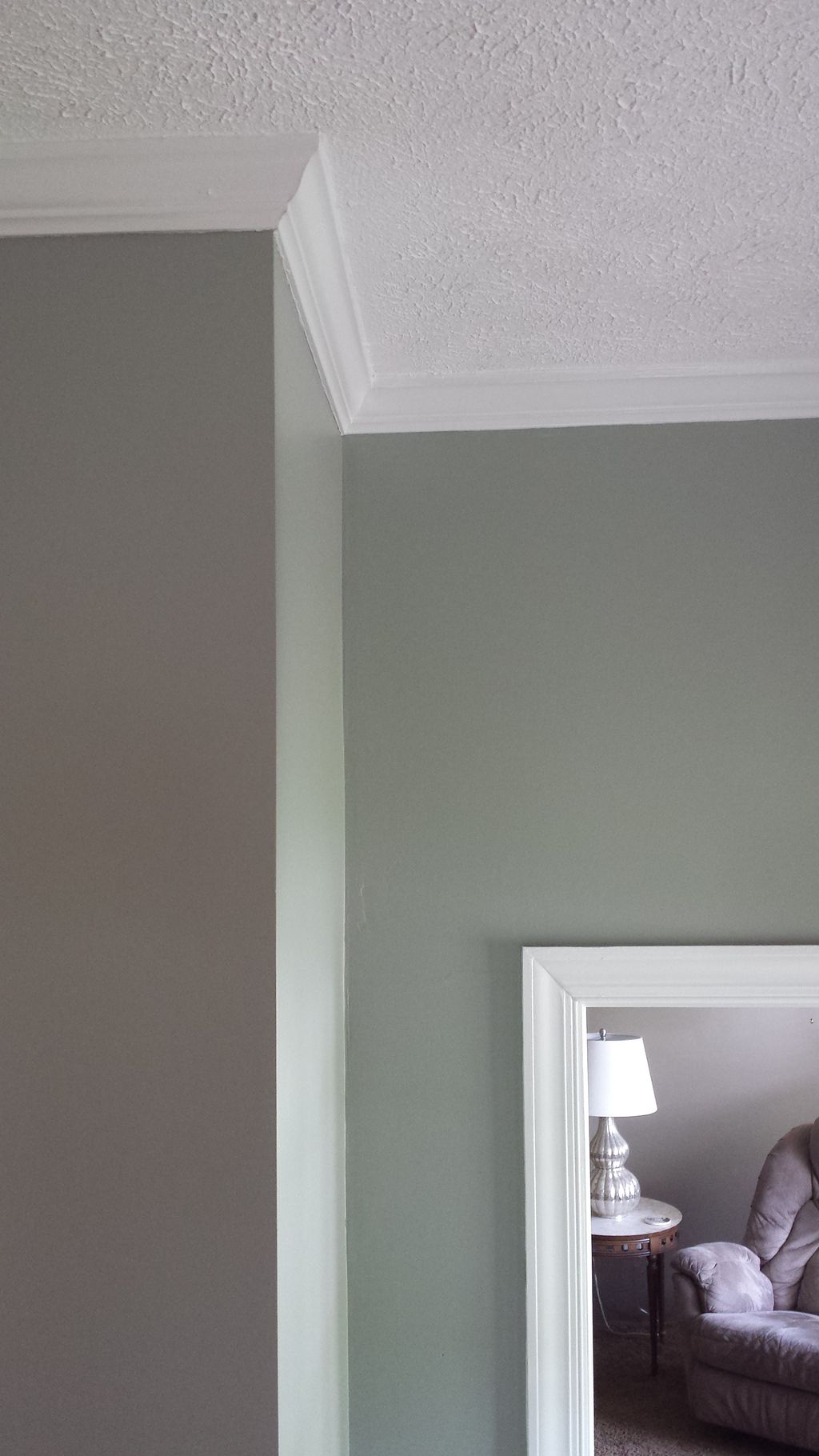 Interior Paint - ceilings, crown molding,   walls,