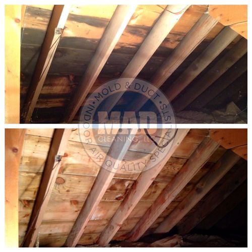 Attic mold removal in Lorain, Ohio before & after 