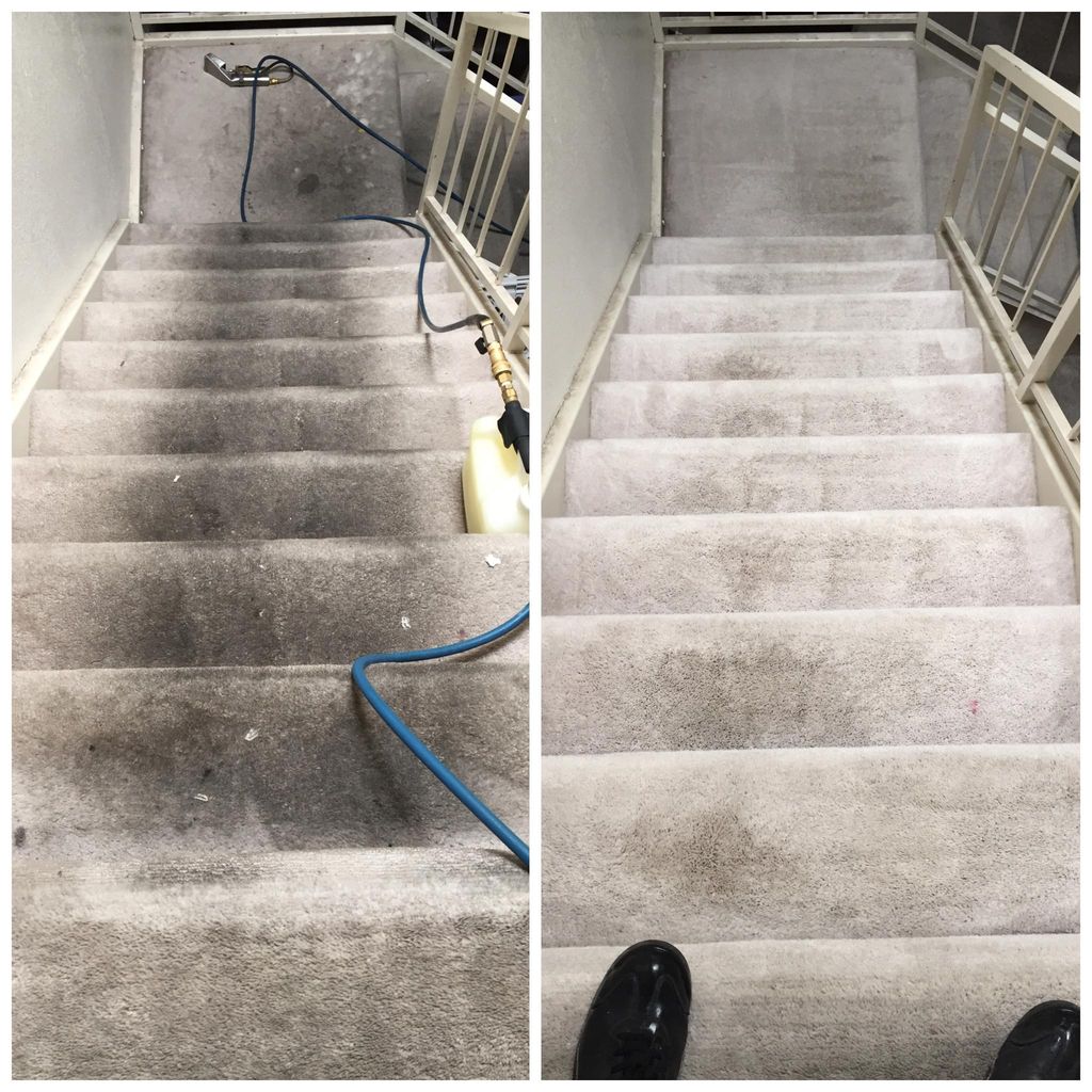 carpets had never been cleaned in 15 years..