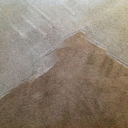 25 year old carpet!