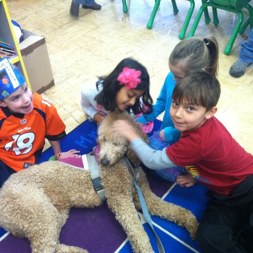 Service dogs visiting school