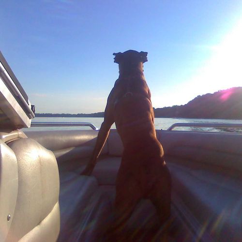 We are avid boaters and our Doggies go with us, we