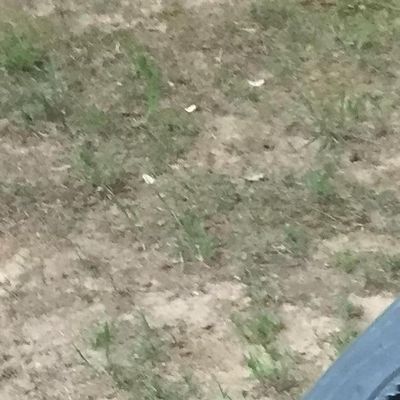 Avatar for At Your Service HVAC