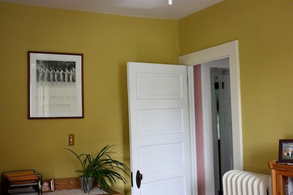 Mustard Yellow with Off-White Ceiling and Trim Mol
