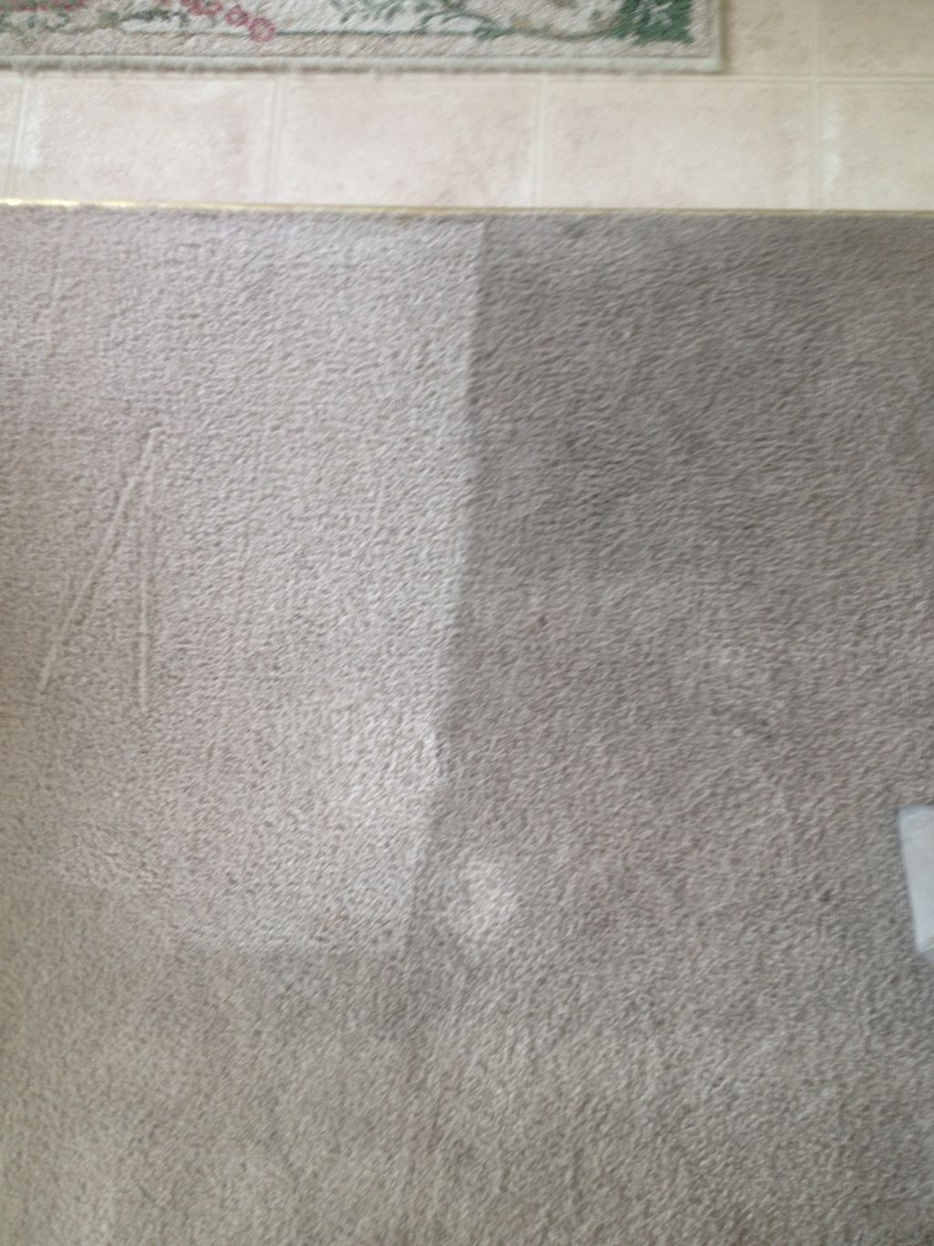 Pets, Kids and everyday life can really take its t