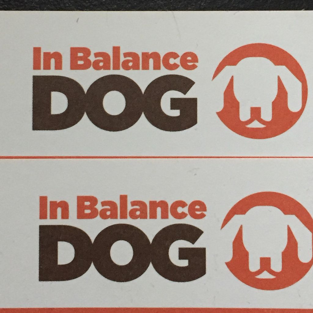 In Balance Dog