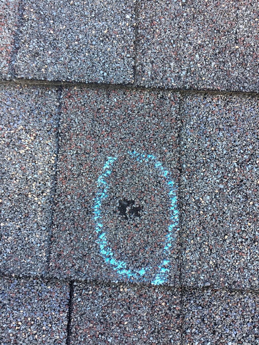 Hail Damage Specialist