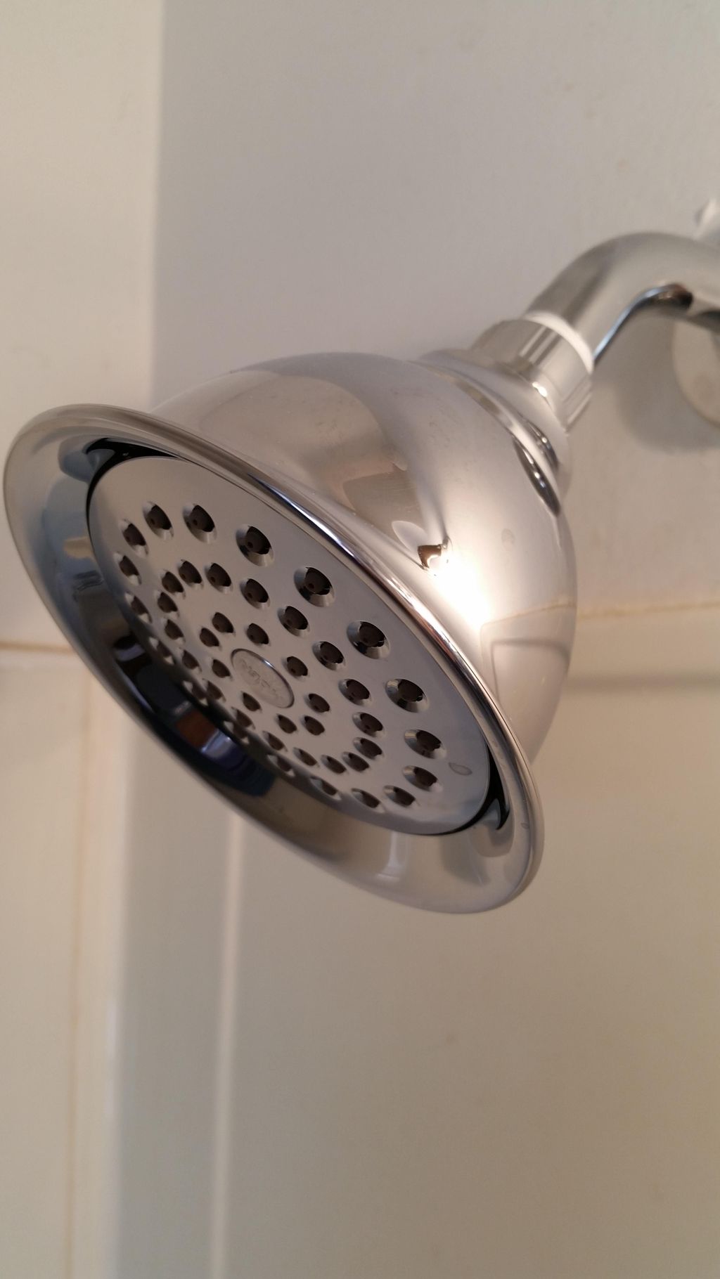 Euclid-installed Moen (4.5" wide) custom shower he