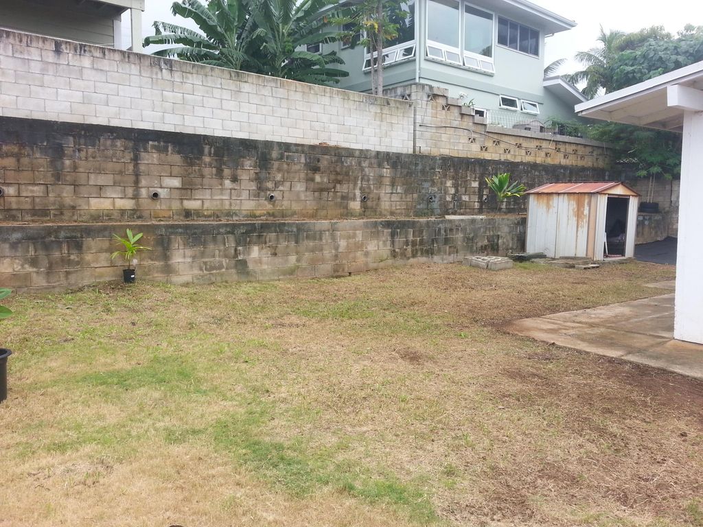 (AFTER) Uproot, Weed Removal,
Clean up & Haul Away