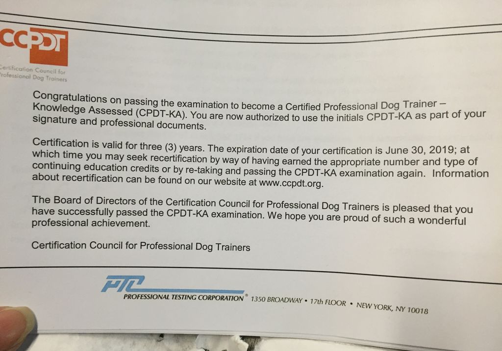 CCPDT website: ccpdt.org/dog-owners/certified-dog-