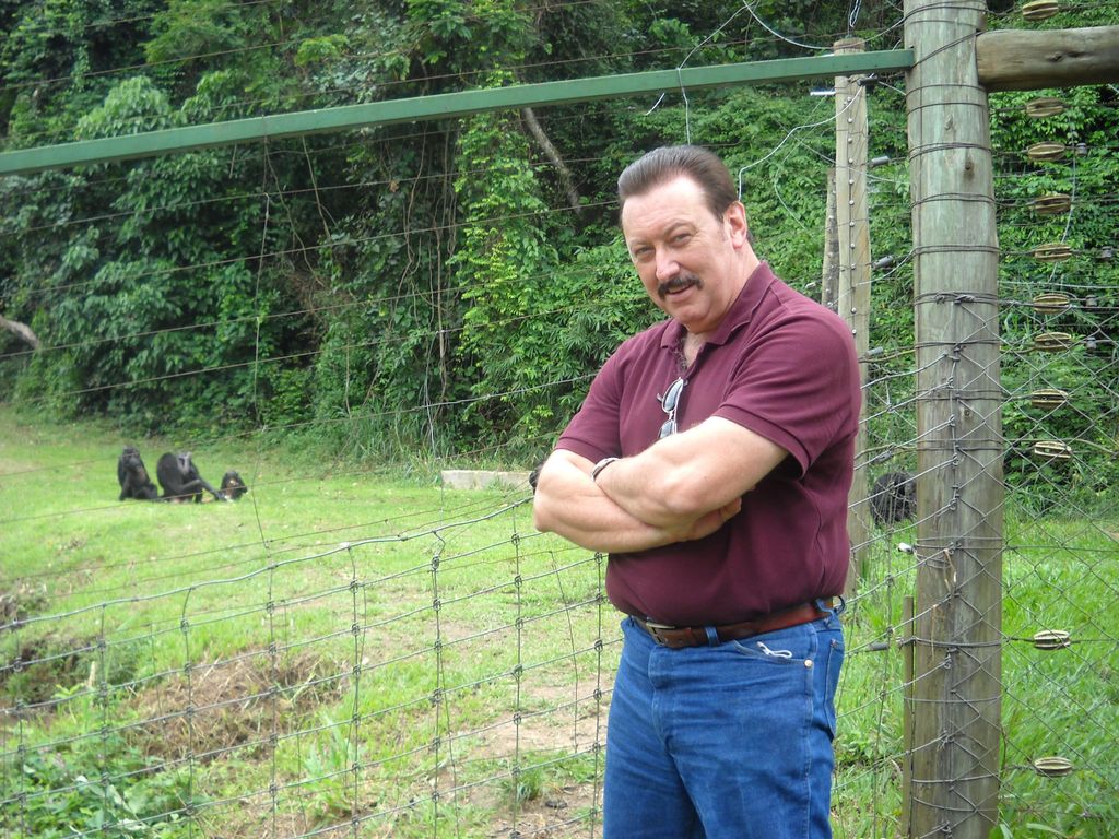 2011 - In the Congo with the Bonobo Chimps; the da