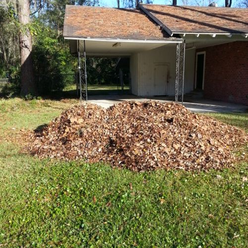 Leaves are blown into a pile