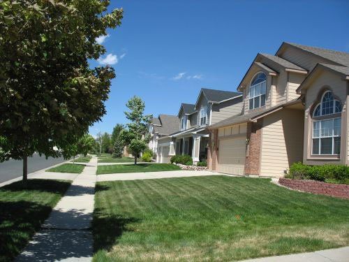 Cross Cuts or normal for Easy Cut