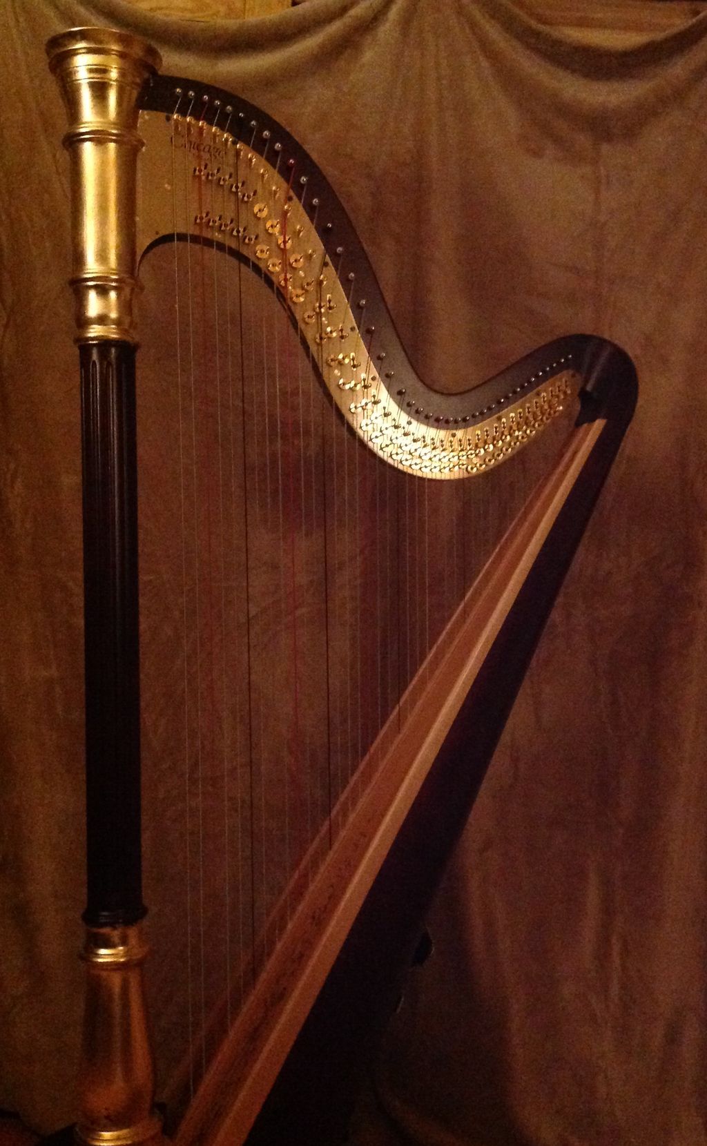 Gold plated petite harp perfect for chamber music