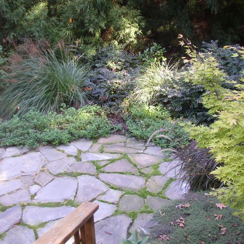 Flagstone patio and planting. (Cary)