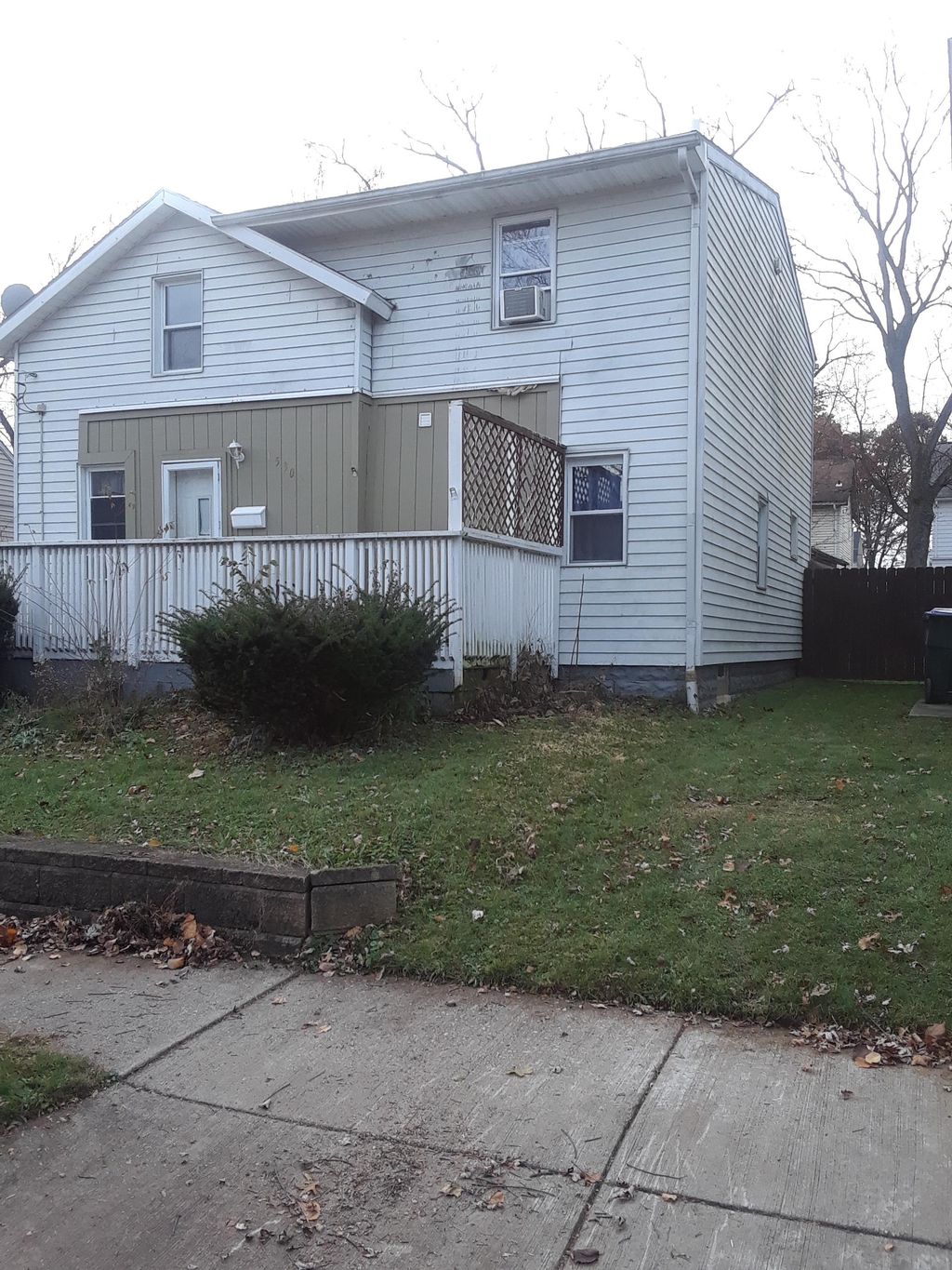 Dead tree removal (After)