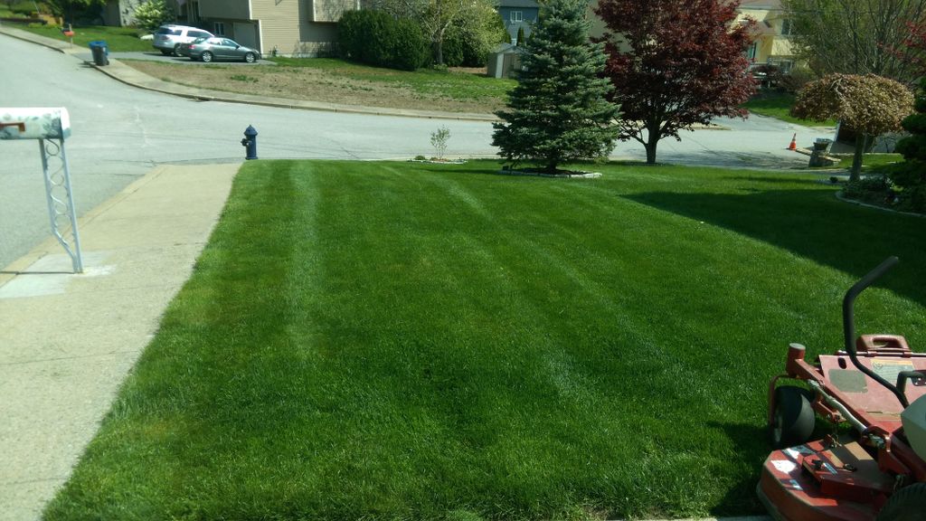 Lawn Mowing/Fertilization Cranston