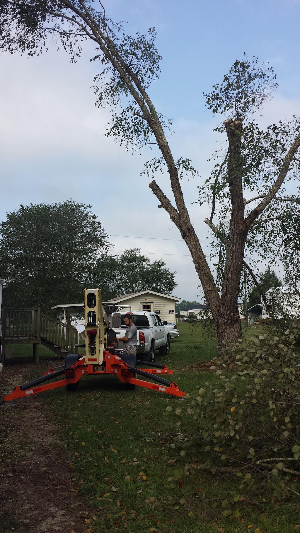 Taking down  a tree for a happy customer